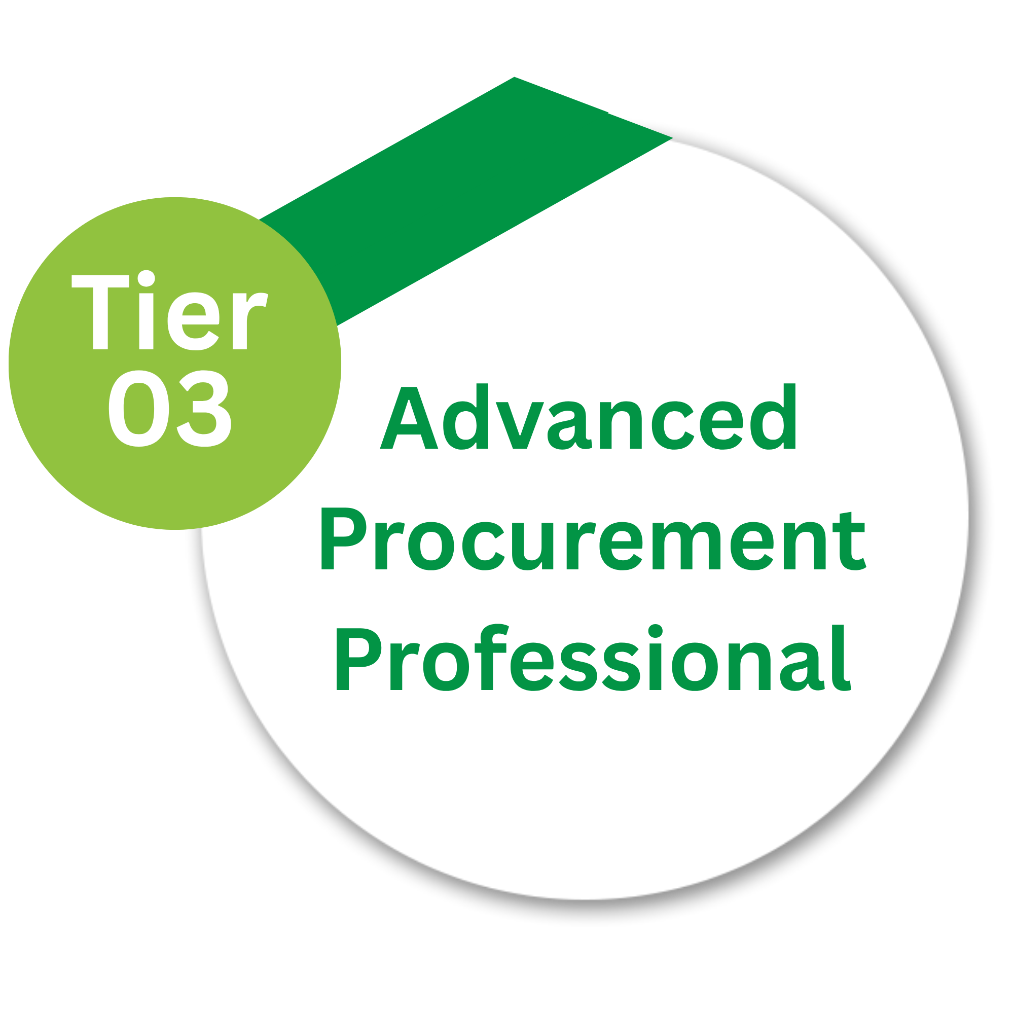 Advanced Procurement Professional